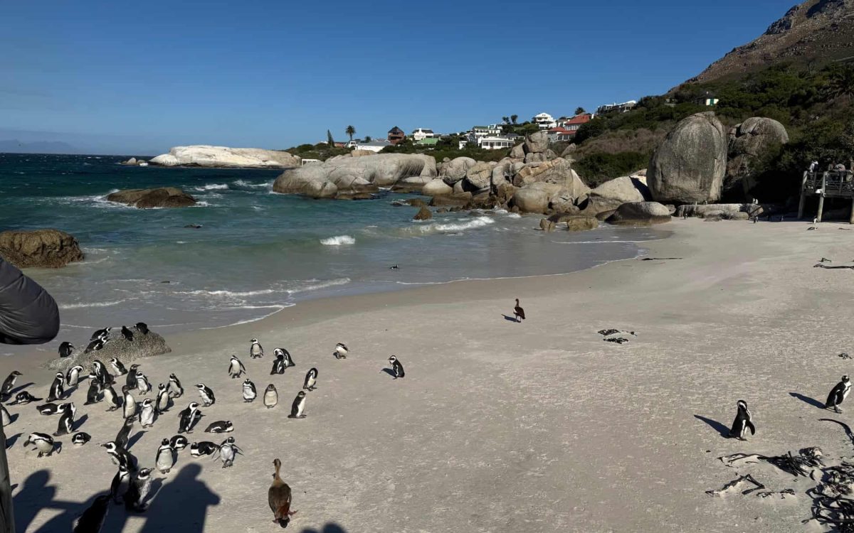 Cape Town - Steph pictures (8)